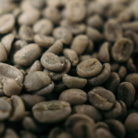 Yeşil Kahve Seçimi